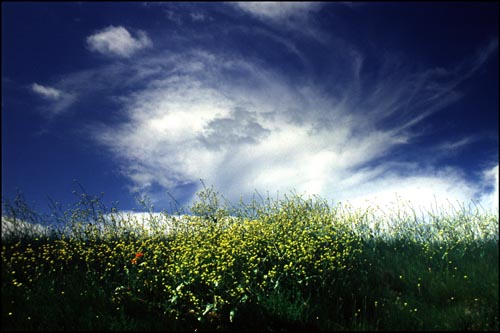 20080328220338-cielo.jpg