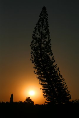 D&iacute;a frustrado